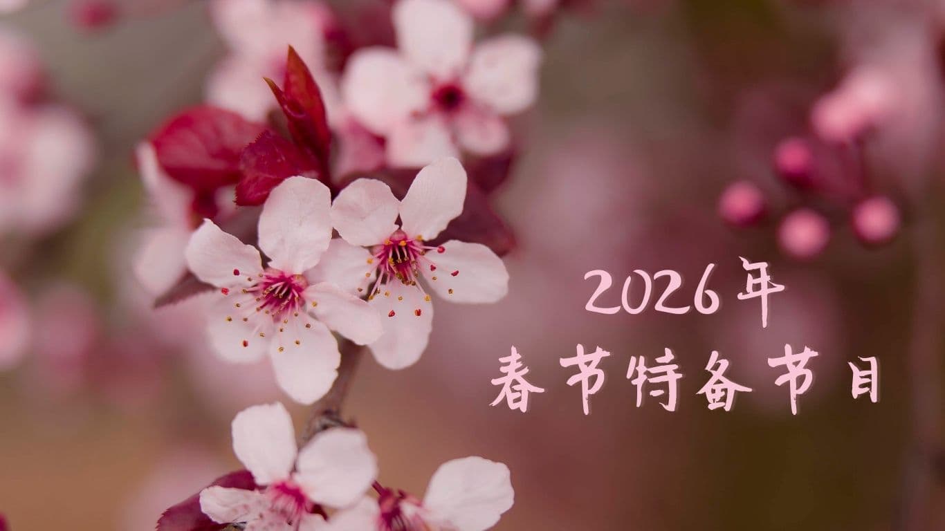 2026年春节特备节目